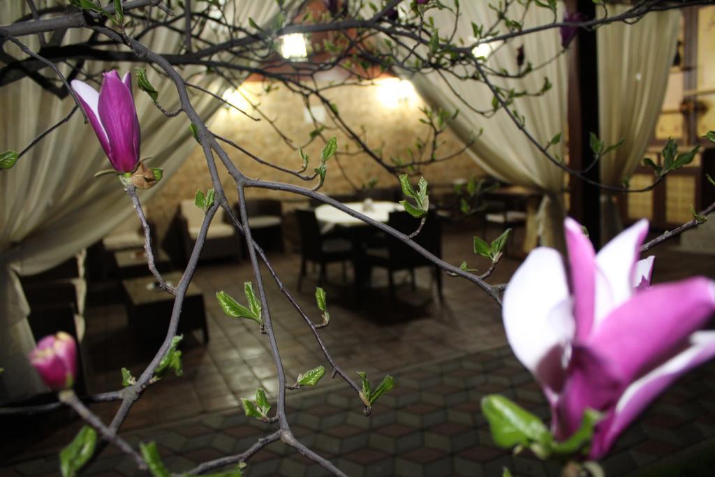 Pensiunea Normandia Timisoara Bagian luar foto